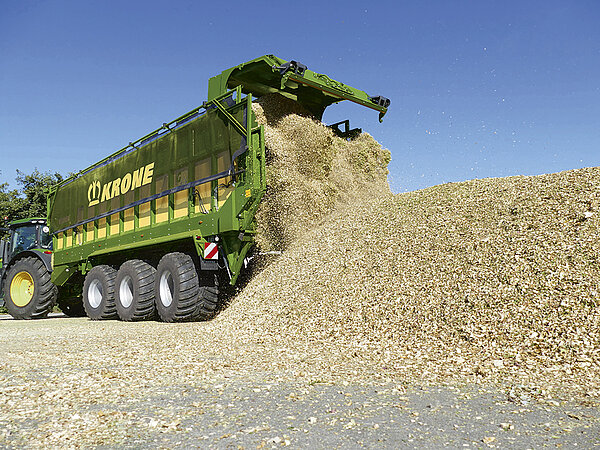 Maize silage
